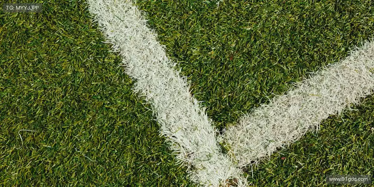 「从球衣到签名纪念品，你的热爱值得专属收藏！🎯点击探索，把偶像带回家！」